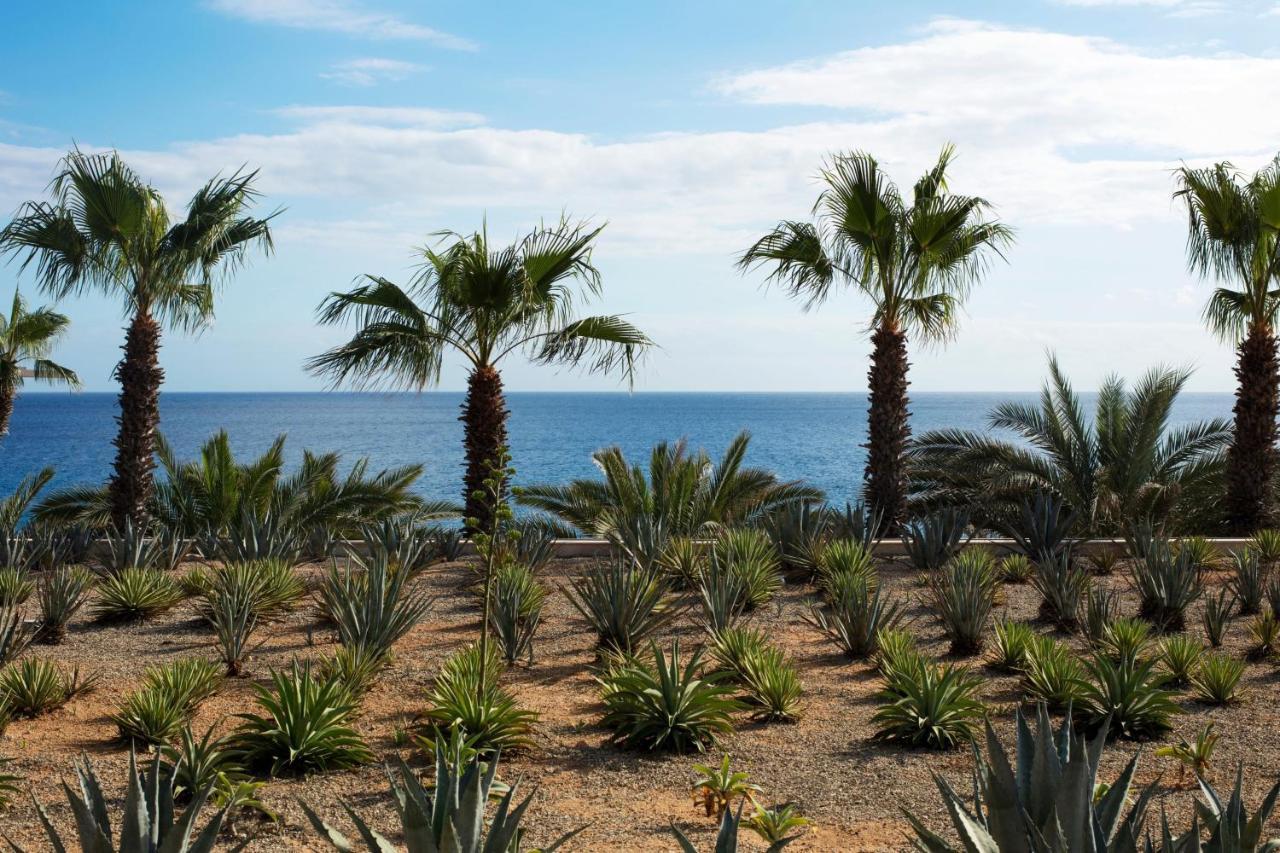 Casa Maat At Jw Marriott Los Cabos Beach Resort & Spa San José del Cabo Exterior photo