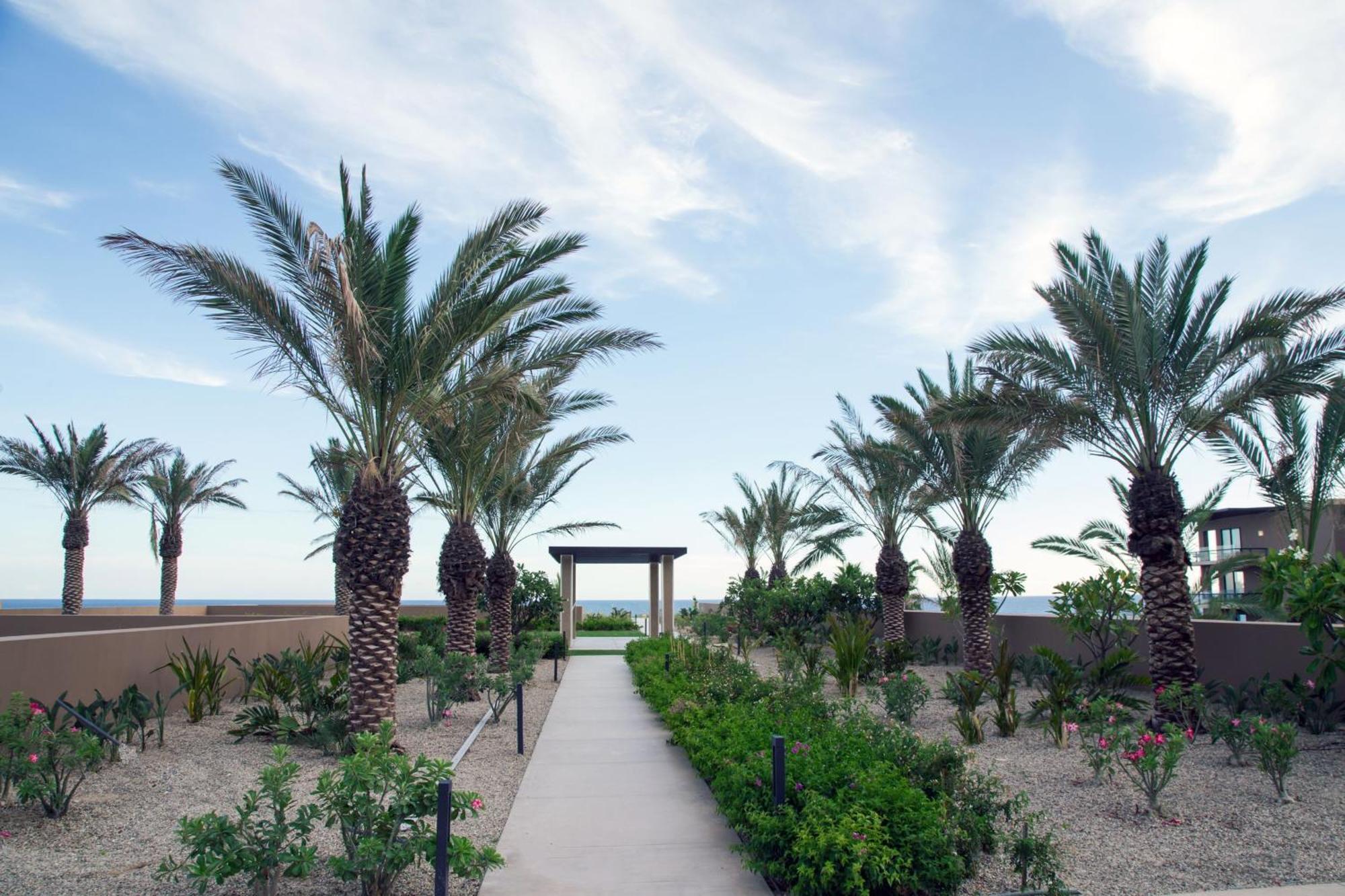 Casa Maat At Jw Marriott Los Cabos Beach Resort & Spa San José del Cabo Exterior photo